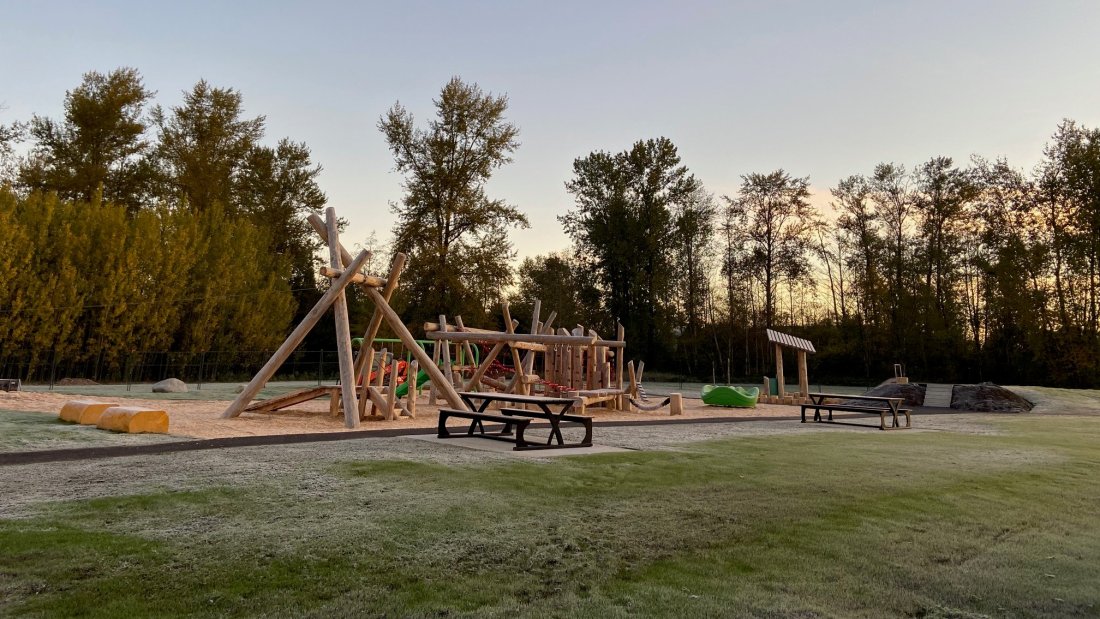 a park with natural climbing materials