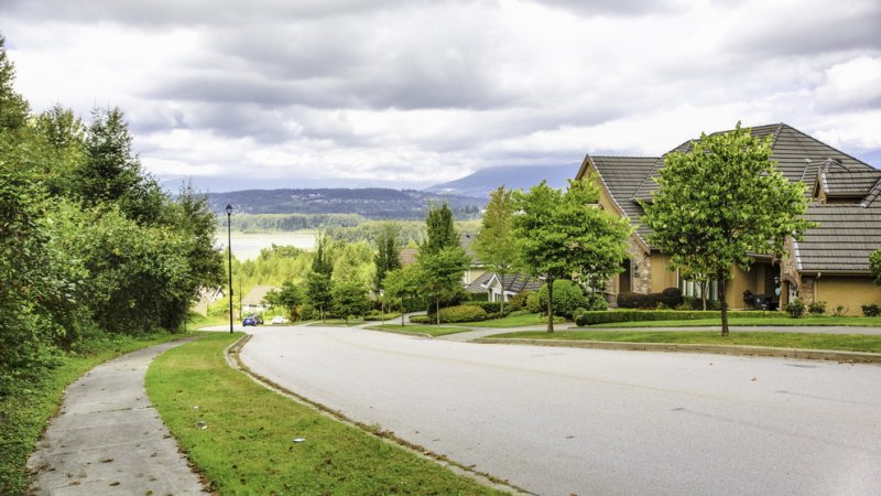 Houses in a neighbourhood along a tree lined street