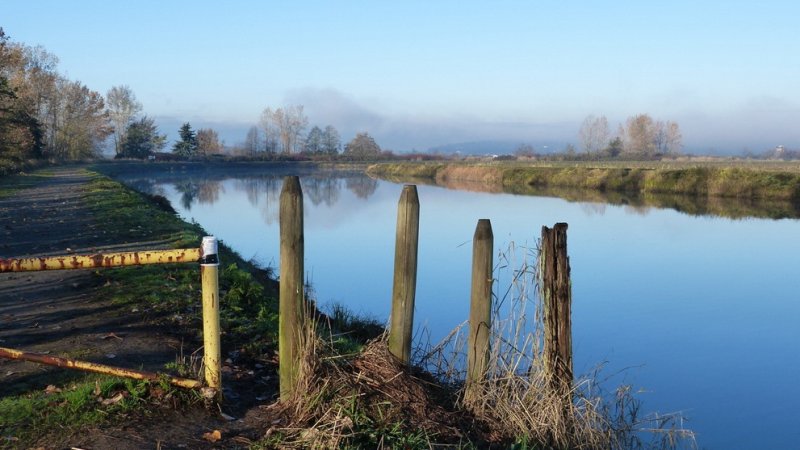 Serpentine Wildlife Management Area