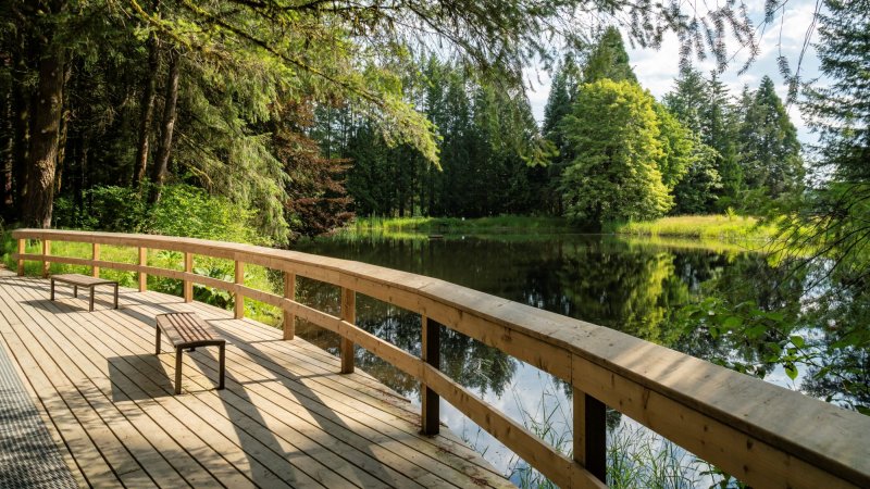 Godwin Park Viewing Platform