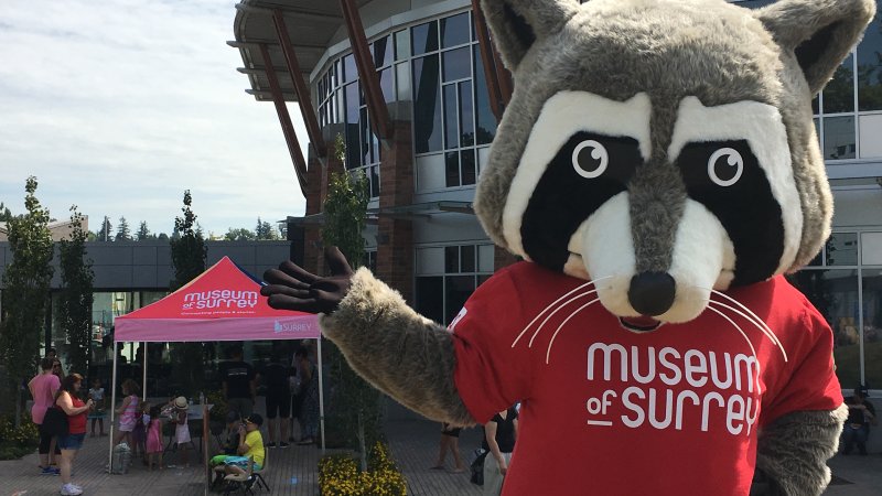 Museum of Surrey mascot Raj the Racoon waving