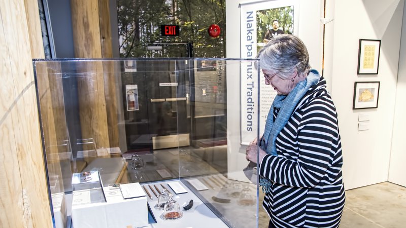 senior looks at exhibit