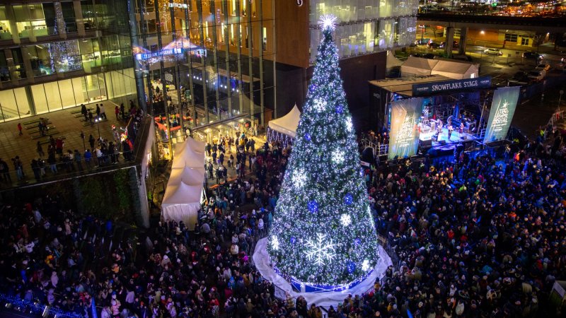 Surrey Tree Lighting Festival & Holiday Market_Surrey Civic Plaza, Nov 23, 2024