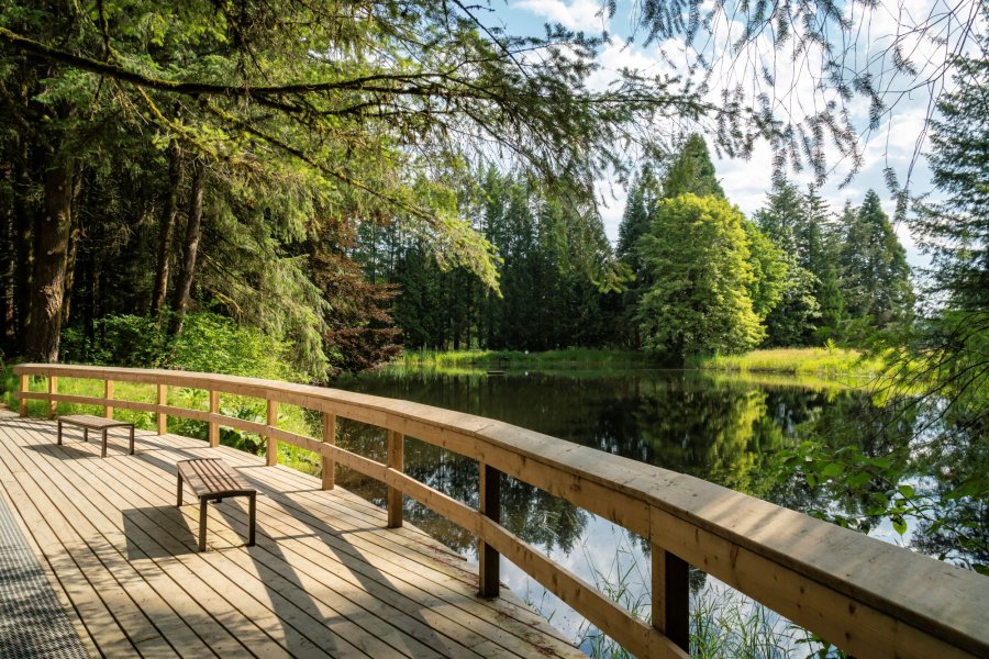 Godwin Park Viewing Platform